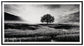 Deborland Wall Art at Towne & Country Furniture (AL) furniture, home furniture, home decor, sofa, bedding
