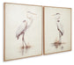 Ashley Express - Aubinell Wall Art Set (2/CN)