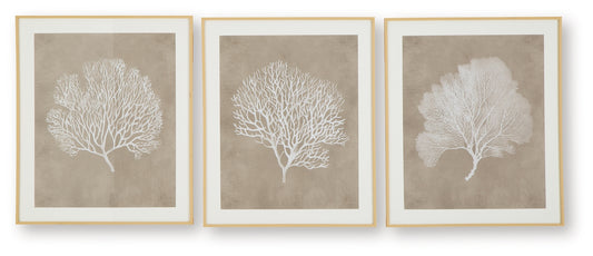 Ashley Express - Hendridge Wall Art Set (3/CN)